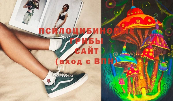 спайс Алексин