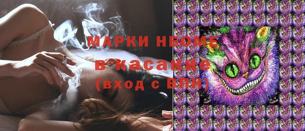 дмт Алзамай