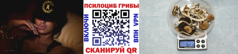 Псилоцибиновые грибы GOLDEN TEACHER  kraken маркетплейс  Барыш 